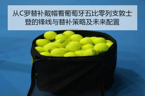 cong-luo-ti-bu-dai-mao-kan-pu-tao-ya-wu-bi-ling-lie-zhi-dun-shi-deng-de-feng-xian-yu-ti-bu-ce-lve-ji-wei-lai-pei-zhi-2-568.jpg